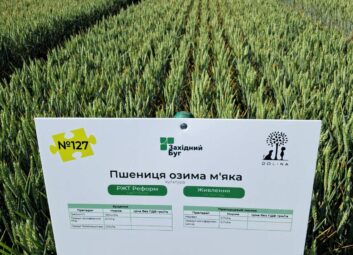 12877Выставки, конференции, семинары