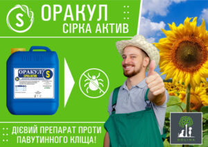 Сера актив