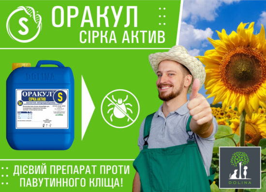 Sirka-aktyv