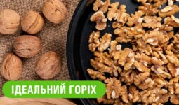 13132Мультимедиа
