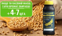 13138Мультимедиа