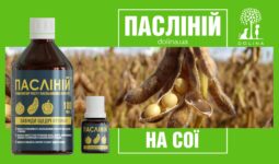13140Мультимедиа