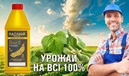 13136Мультимедиа