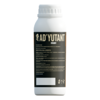 1_Ad’utant_1l