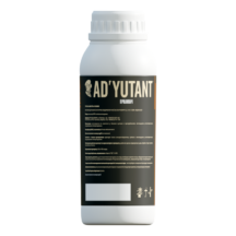 1_Ad’utant_1l