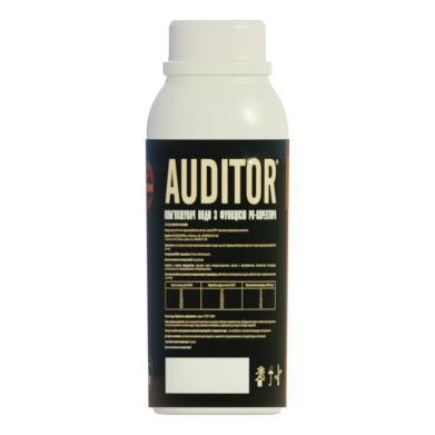1_Auditor_1l