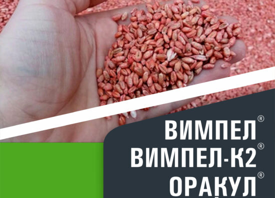 news-yari-obrobka-nas