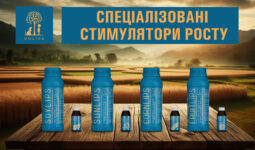 14026Мультимедиа