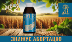 14128Мультимедиа