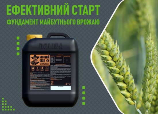 Новина Яків