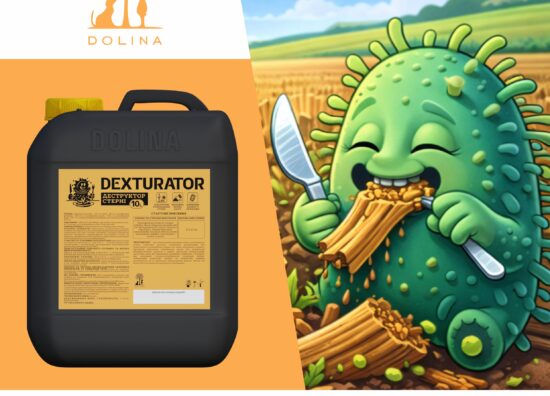 Декстуратор