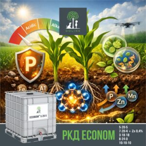 Розширення лінійки ECONOM