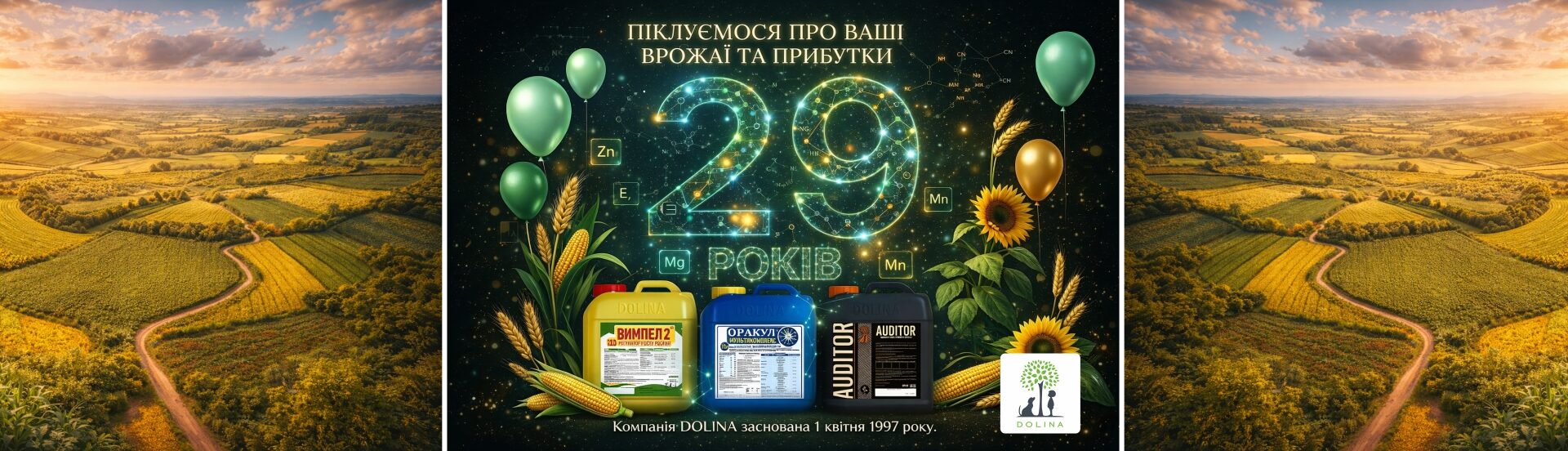 29 років компанії банер