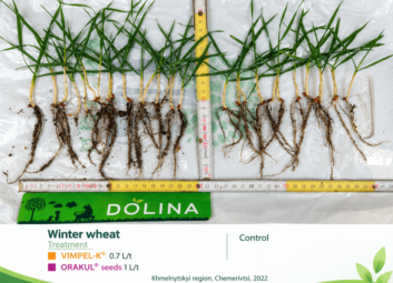 17134Winter cereals (winter wheat)