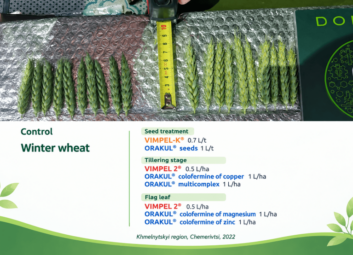 17122Winter cereals (winter wheat)