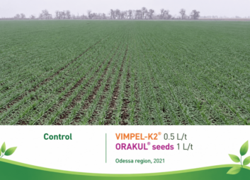 17123Winter cereals (winter wheat)
