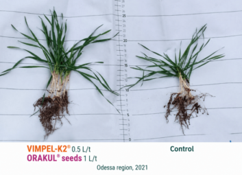 17124Winter cereals (winter wheat)