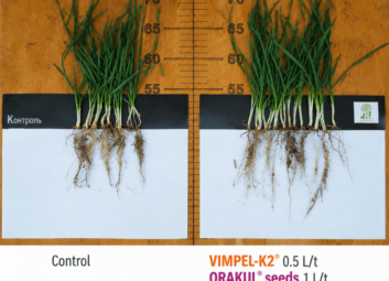 17125Winter cereals (winter wheat)