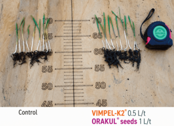 17127Winter cereals (winter wheat)