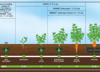 17074Root crops (carrots, table beets)