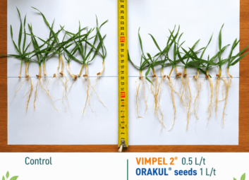 17129Winter cereals (winter wheat)