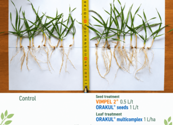 17130Winter cereals (winter wheat)
