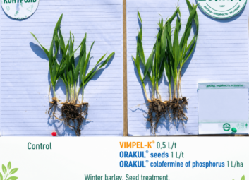 17131Winter cereals (winter wheat)