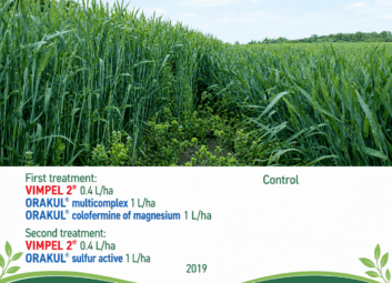 17143Winter cereals (winter wheat)