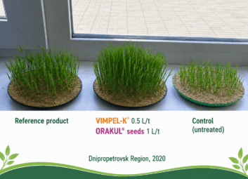 17144Winter cereals (winter wheat)