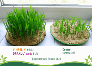 17145Winter cereals (winter wheat)