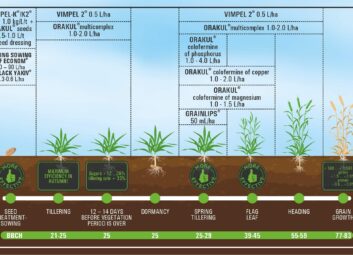 17079Winter cereals (winter wheat)