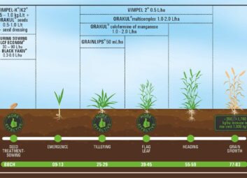 17080Spring cereals (spring barley)