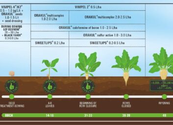 17078Sugar beets
