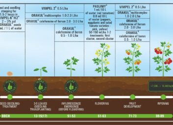 17070Tomatoes, peppers, eggplants