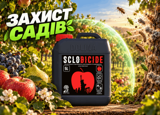 sclobic_article 1
