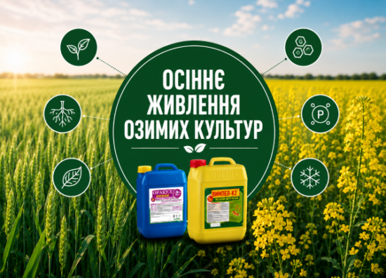 whinter_crops_news_