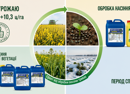 whinter_rapeseed_year_