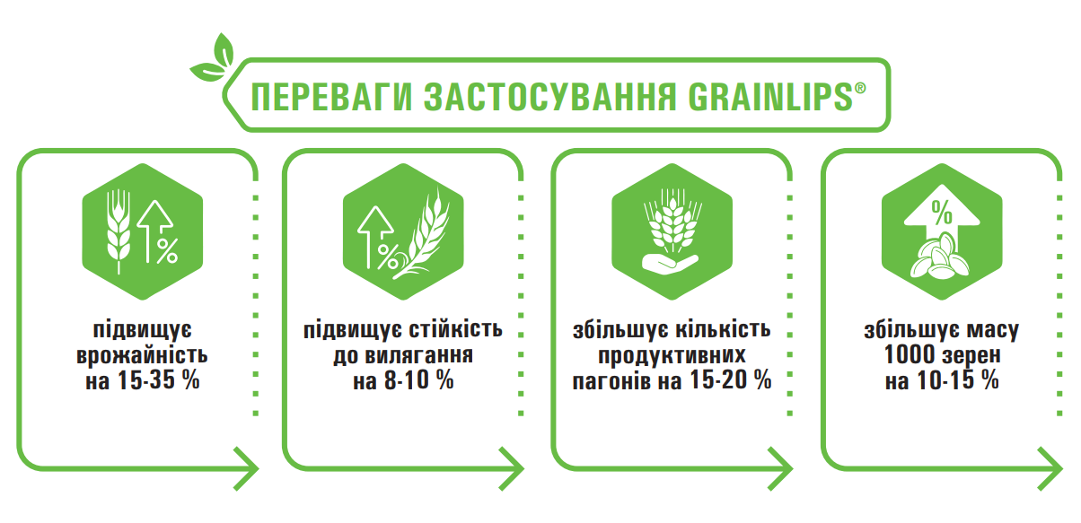 Переваги застосування grainlips